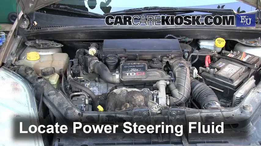 2003 Ford Fiesta TDCi 1.4L 4 Cyl. Turbo Diesel Power Steering Fluid